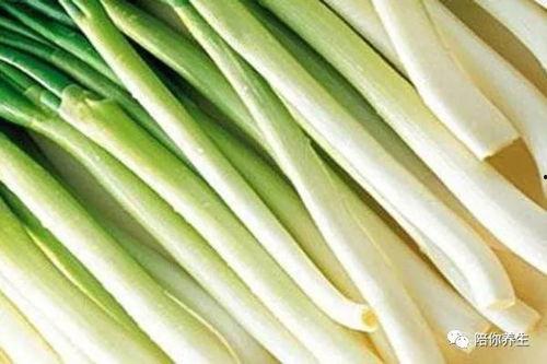 吃瓜的大葱,揭秘蔬菜界的“清凉使者”
