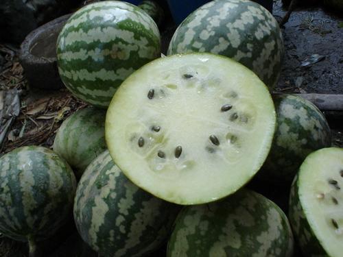 吃绿宝瓜容易放屁嘛