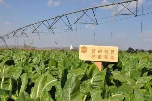 雪球高管 吃瓜,吃瓜群众眼中的风云变幻 第2张 雪球高管 吃瓜,吃瓜群众眼中的风云变幻 第2张