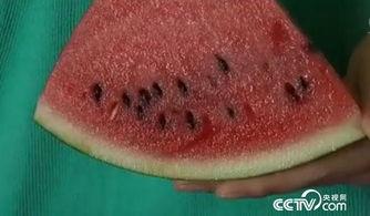 夏季吃瓜小妙招,夏季吃瓜小妙招大揭秘  第3张