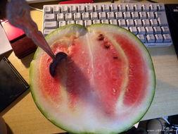 路哥吃瓜,揭秘娱乐圈幕后故事