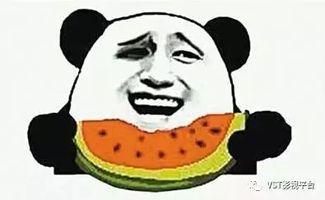 疯狂的吃瓜
