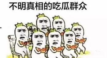 吃瓜拼起来,揭秘娱乐圈背后的故事与真相  第2张