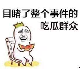 相亲吃的瓜,那些让人捧腹的美食瓜料  第3张